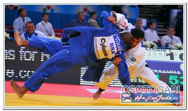 WCPARIS2011 90110
